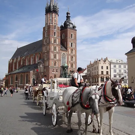 Grey * Krakau
