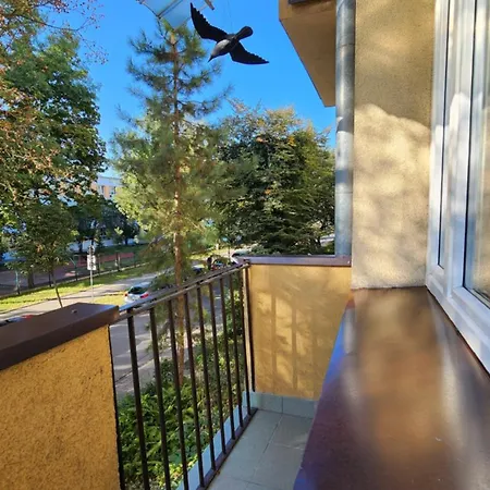 Grey Апартаменты